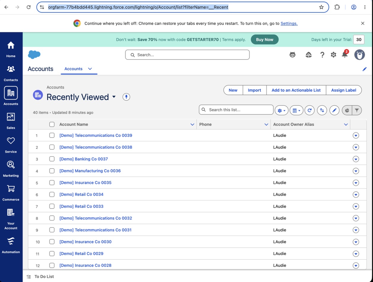 Salesforce trial org with the seeded demo accounts